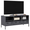 Szafka RTV, antracyt, 101,5x39x43,5 cm, stal walcowana na zimno