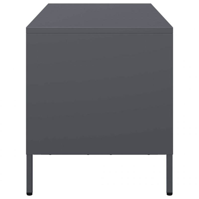 Szafka RTV, antracyt, 101,5x39x43,5 cm, stal walcowana na zimno