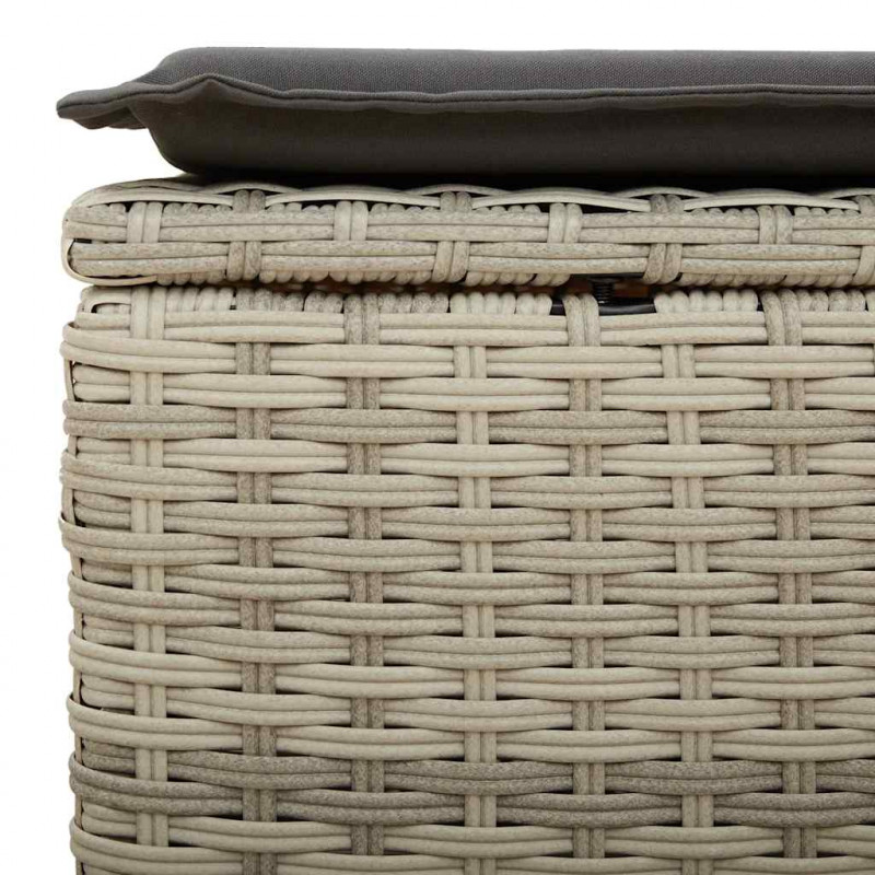 2-cz sofa ogrodowa z poduszkami, jasnoszary, rattan PE i akacja