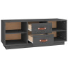 Szafka pod TV, szara, 100x34x40 cm, lite drewno sosnowe