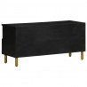 Szafka pod telewizor, czarna, 100x33x46 cm