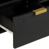 Szafka pod telewizor, czarna, 100x33x46 cm