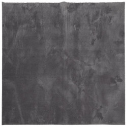 Dywan HUARTE z krótkim włosiem, antracytowy, 240x240 cm