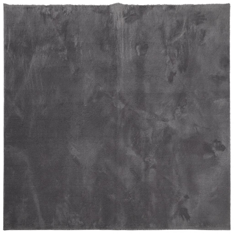 Dywan HUARTE z krótkim włosiem, antracytowy, 240x240 cm
