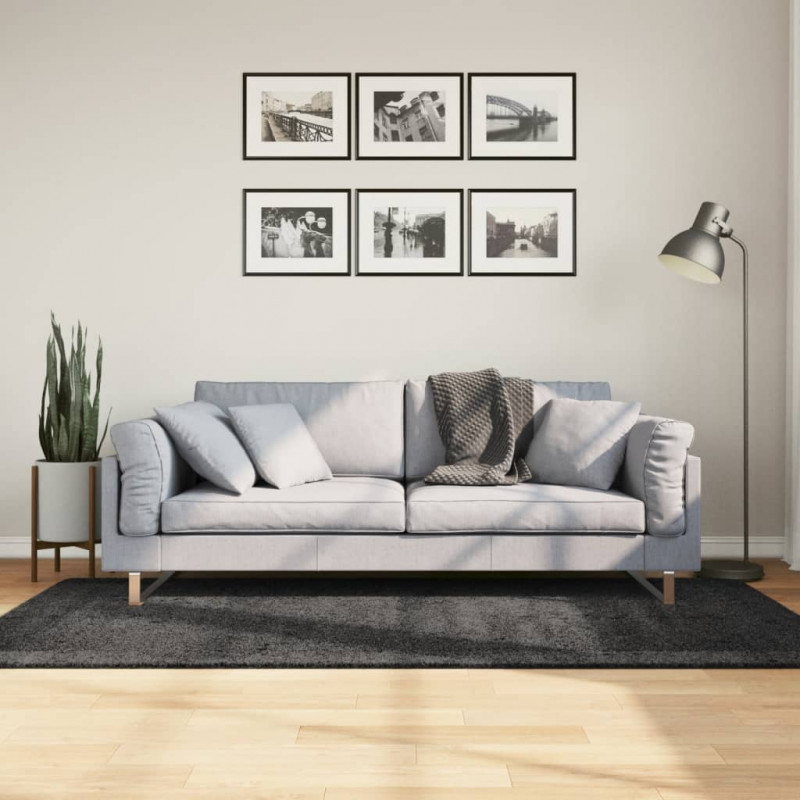 Dywan z długim włosiem PAMPLONA, antracytowy, 100x200 cm