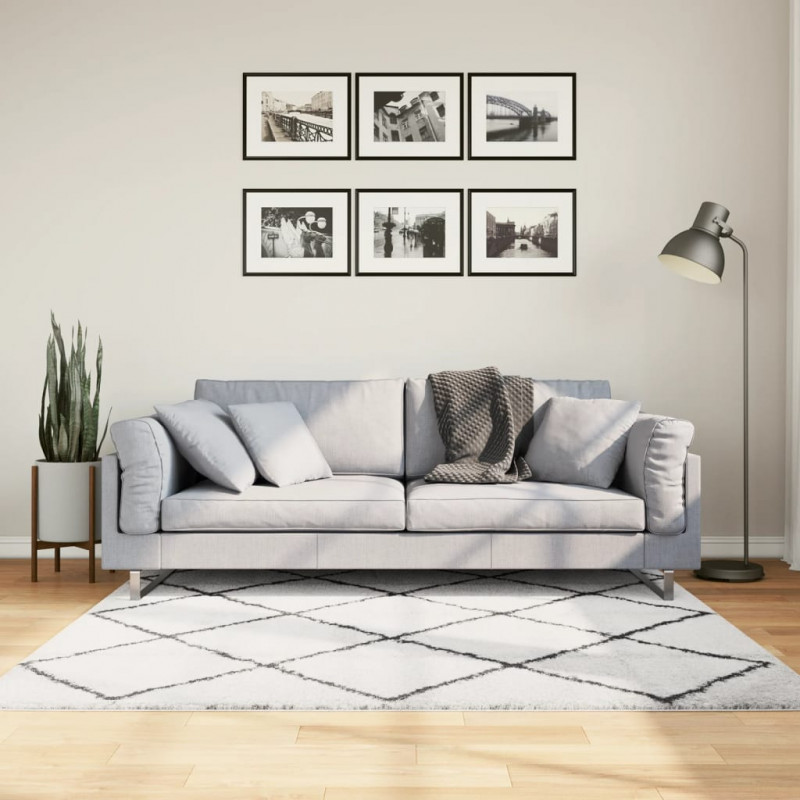 Dywan z długim włosiem PAMPLONA, kremowo-czarny, 160x160 cm