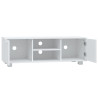 Szafka pod TV, biały, 120x40,5x35 cm, materiał drewnopochodny