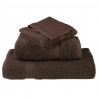 Ręcznik Gościnny SOLUND 2 pcs Brązowy 15 x 21 cm 550 gsm
