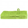Ręcznik Gościnny SOLUND 2 pcs Zielony 15 x 21 cm 550 gsm