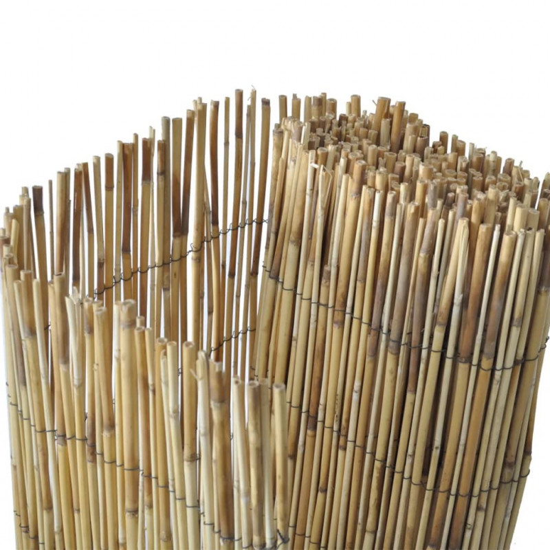Ogrodzenie z trzciny, 500 x 100 cm