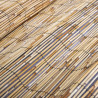 Ogrodzenie z trzciny, 500 x 100 cm