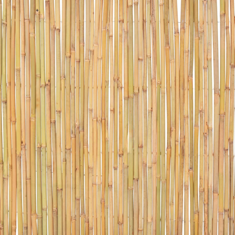 Ogrodzenie z bambusa, 300 x 100 cm