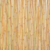 Ogrodzenie z bambusa, 300 x 100 cm