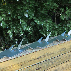 Kolce ochronne, 2 szt., stalowe, 1 m