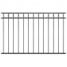 Panel ogrodzeniowy Assen stalowy 1,7x1 m czarny