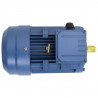 Silnik elektr. 3-fazy, aluminium, 4 kW/5,5 KM 2 P 2840 obr./min