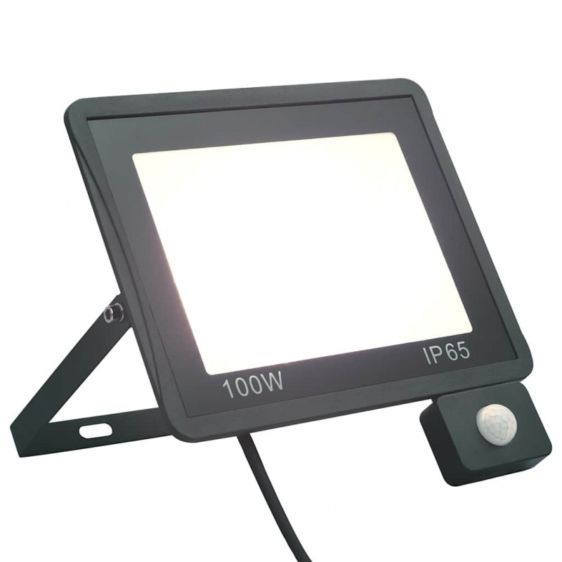 Reflektor LED z czujnikiem, 100 W, zimne białe światło