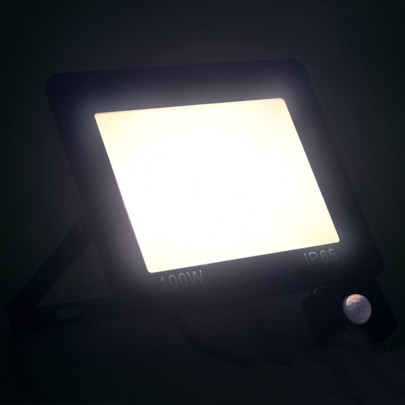 Reflektor LED z czujnikiem, 100 W, zimne białe światło