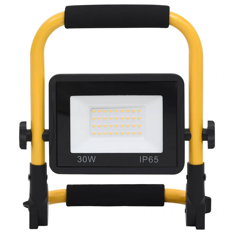 Reflektor LED z uchwytem, 30 W, zimne białe światło