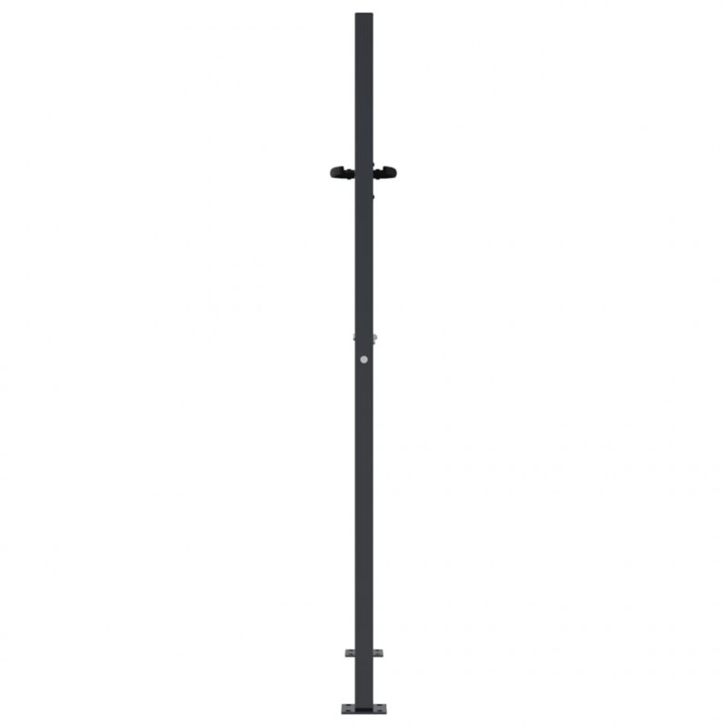 Furtka ogrodowa, antracytowa, 100x150 cm, stal, motyw drzewa