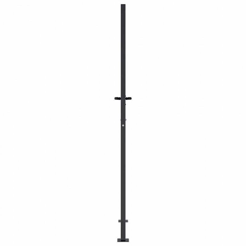 Furtka ogrodowa, antracytowa, 100x200 cm, stal, motyw drzewa