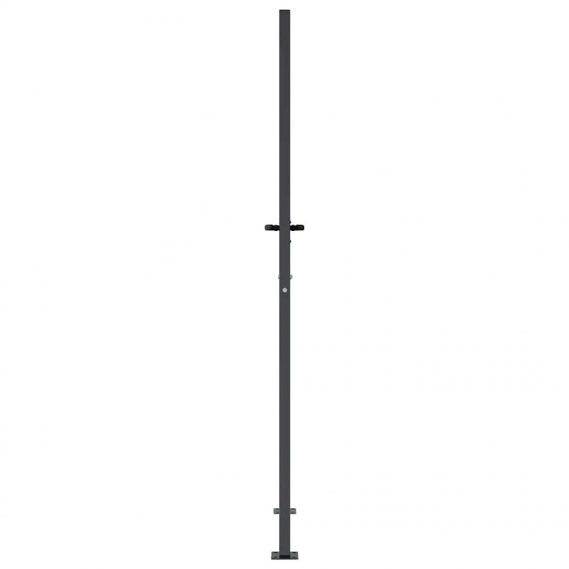 Furtka ogrodowa, antracytowa, 100x200 cm, stal, motyw trawy