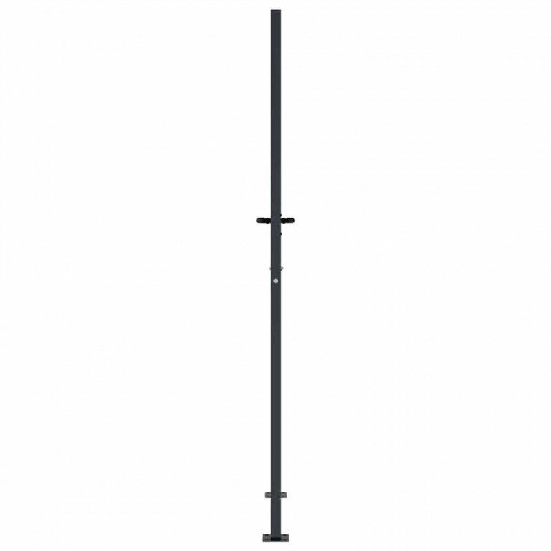 Furtka ogrodowa, antracytowa, 100x200 cm, stal, motyw bambusa