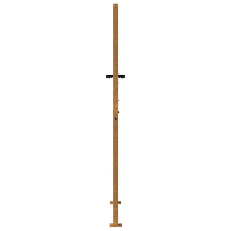 Furtka ogrodowa, 100x175 cm, stal kortenowska