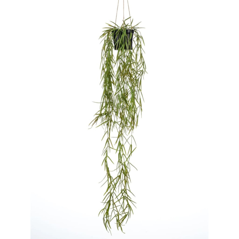 Emerald Sztuczna hoja w doniczce do zawieszenia, 80 cm