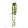 Emerald Sztuczna hoja w doniczce do zawieszenia, 80 cm