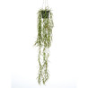 Emerald Sztuczna hoja w doniczce do zawieszenia, 80 cm