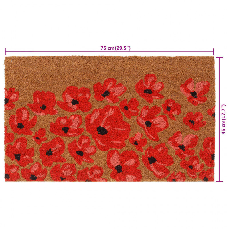 Wycieraczka, naturalna, 45x75 cm, włókno kokosowe, tuftowana