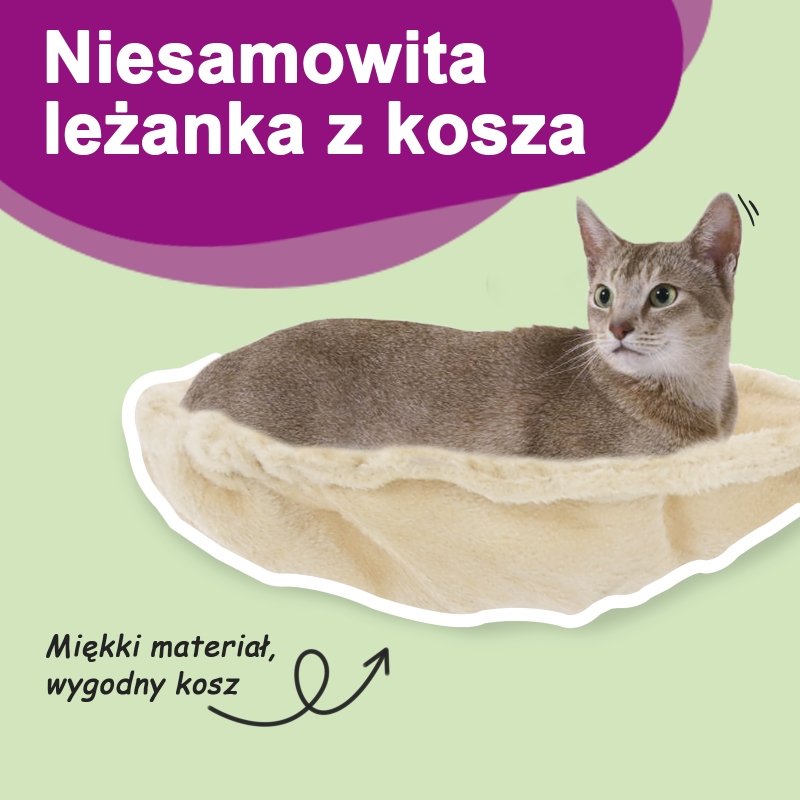 Drapak dla kota ze słupkami sizalowymi, kremowy, 104 cm