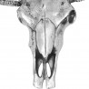 Czaszka/Głowa dekoracyjna na ścianę, aluminium, srebrna