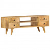 Szafka pod TV, 110 x 35 x 40 cm, lite drewno mango