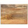 Stojak na gazety, 40x30x50 cm, lite drewno mango i stal