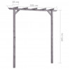 Pergola ogrodowa, szara, 200x40x205 cm, impregnowana sosna