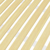 Stelaż do łóżka z 24 listwami, 120x200 cm