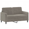2-osobowa sofa z poduszkami, jasnoszara, 120 cm, aksamit