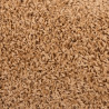 Nakładki na schody, 10 szt., 65x21x4 cm, beżowe