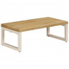 Stolik kawowy, 100x50x35 cm, lite drewno mango i stal