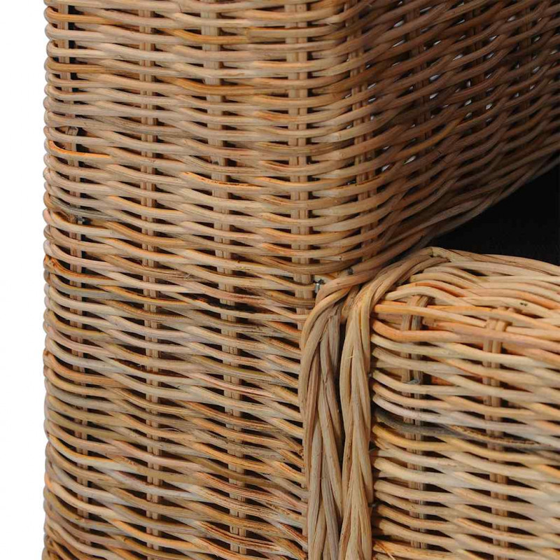 2-częściowy zestaw wypoczynkowy z poduszkami, naturalny rattan