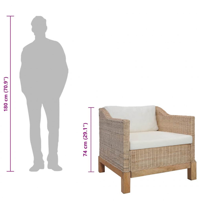 2-częściowy zestaw wypoczynkowy z poduszkami, naturalny rattan
