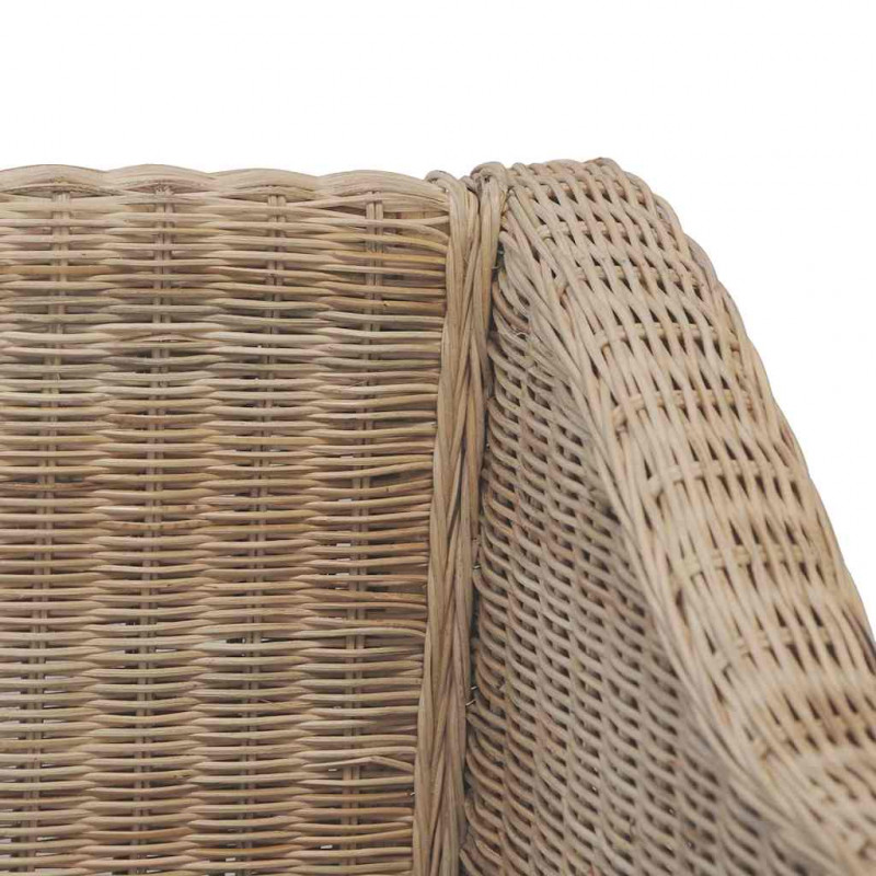 2-częściowy zestaw wypoczynkowy z poduszkami, naturalny rattan