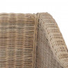 2-częściowy zestaw wypoczynkowy z poduszkami, naturalny rattan