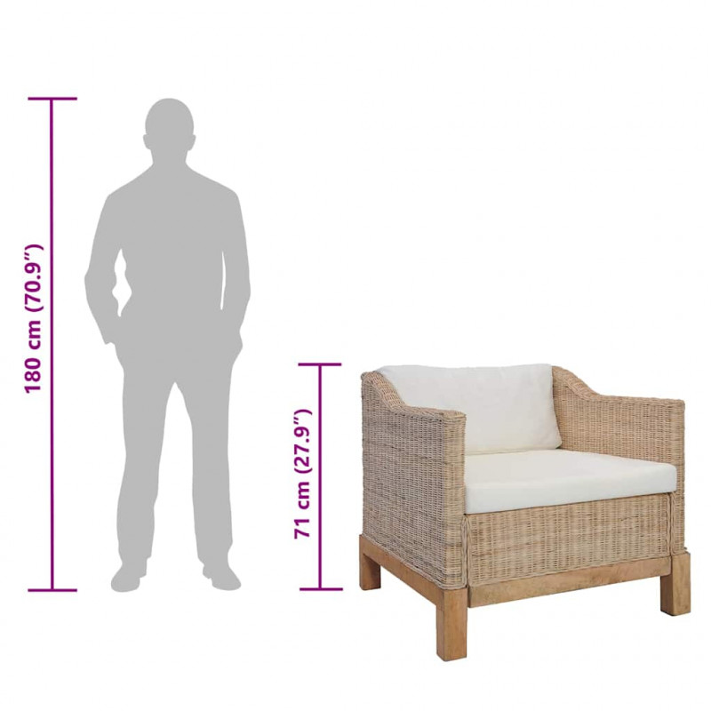 Fotel z poduszkami, naturalny rattan