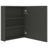 Szafka łazienkowa z lustrem i LED, antracytowa, 50x14x60 cm