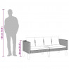 2-osobowa sofa ogrodowa z poduszkami, rattan PE, beż