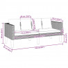 2-osobowa sofa ogrodowa z poduszkami, rattan PE, czarny