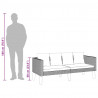 2-osobowa sofa ogrodowa z poduszkami, rattan PE, czarny